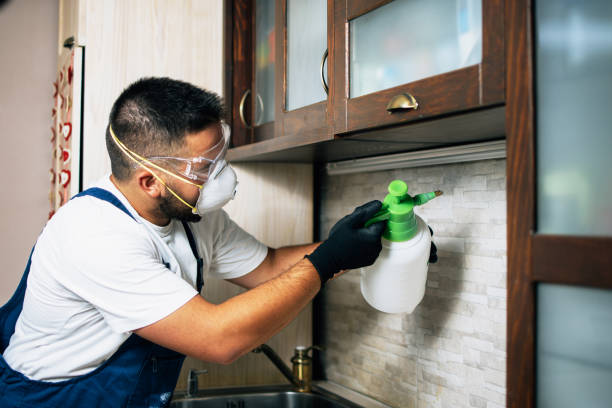 Best Exterminator Services  in Herrin, IL