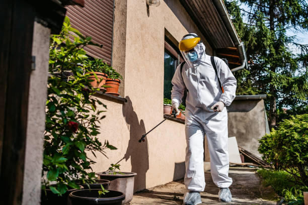 Best Best Pest Control Companies  in Herrin, IL
