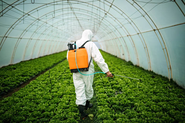 Best Residential Pest Control  in Herrin, IL
