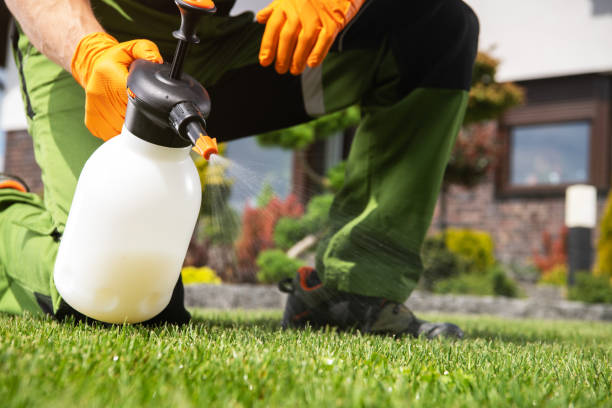 Best Rodent Control Near Me  in Herrin, IL