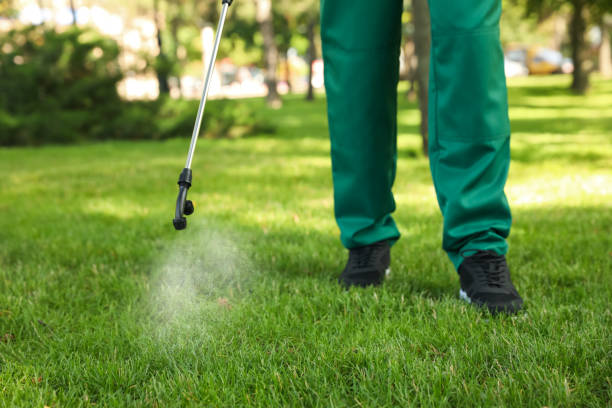 Best Bed Bug Extermination  in Herrin, IL