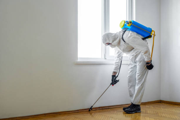 Best Local Pest Control Services  in Herrin, IL