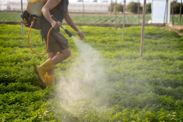 Best Wildlife Control Services  in Herrin, IL