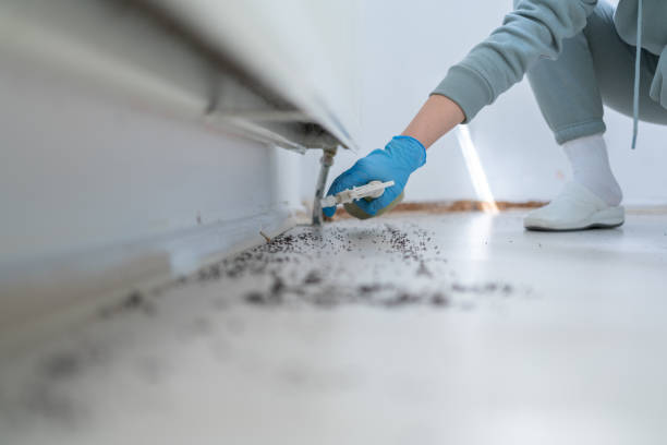 Best Pest Prevention Services  in Herrin, IL