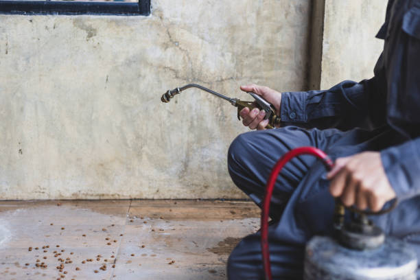 Best Mosquito Control Services  in Herrin, IL